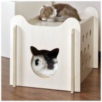 Kedi evi K4202